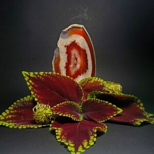 ROCKS & MINERALS Red Polished Agate Geode Slice with Druzy and Crystals 5" Tall